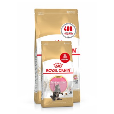 Сухой корм для котят Royal Canin Kitten Maine Coon 2 кг + 400 г - домашняя птица - masterzoo.ua