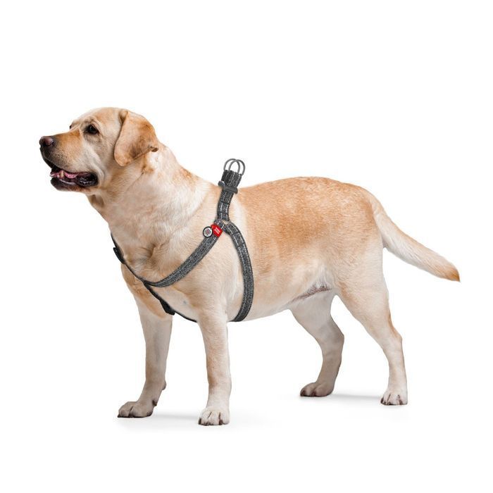 Шлея для собак COLLAR WOUDOG Светоотражающая S - серый - masterzoo.ua