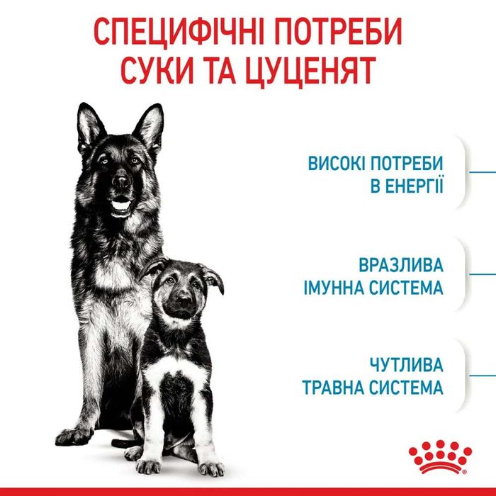 Сухий корм для цуценят Royal Canin Maxi Starter 4 кг - домашня птиця - masterzoo.ua