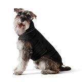Пуховик для собак Noble Pet Bobby Bravery M - masterzoo.ua