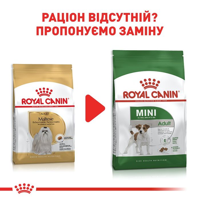 Сухий корм для собак Royal Canin Maltese Adult 1,5 кг - домашня птиця - masterzoo.ua