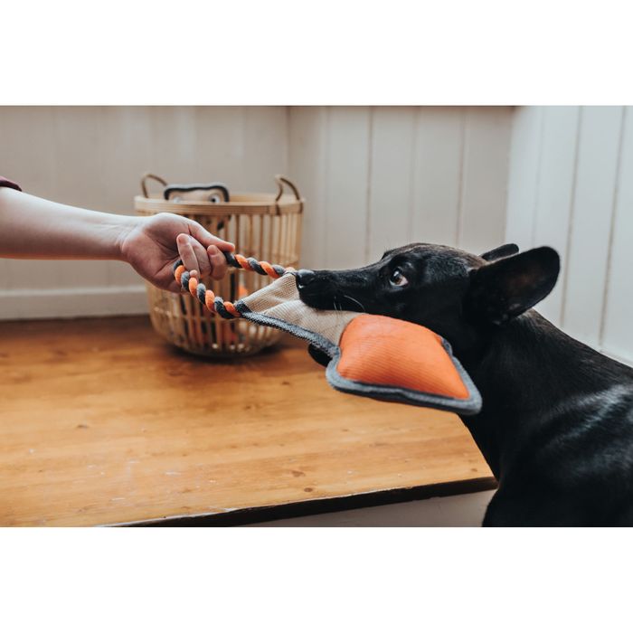 Іграшка для собак Hunter Tough Pombas Arrow 35 см (поліестер) - masterzoo.ua