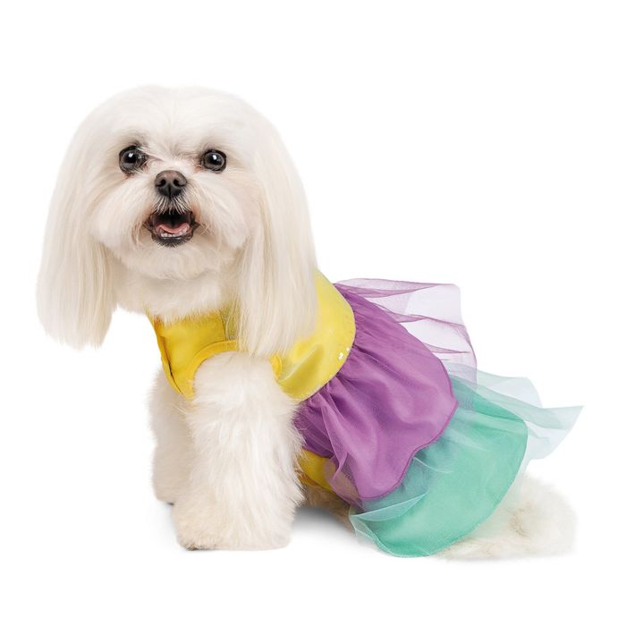 Платье для собак Pet Fashion «Лира» XXS - masterzoo.ua