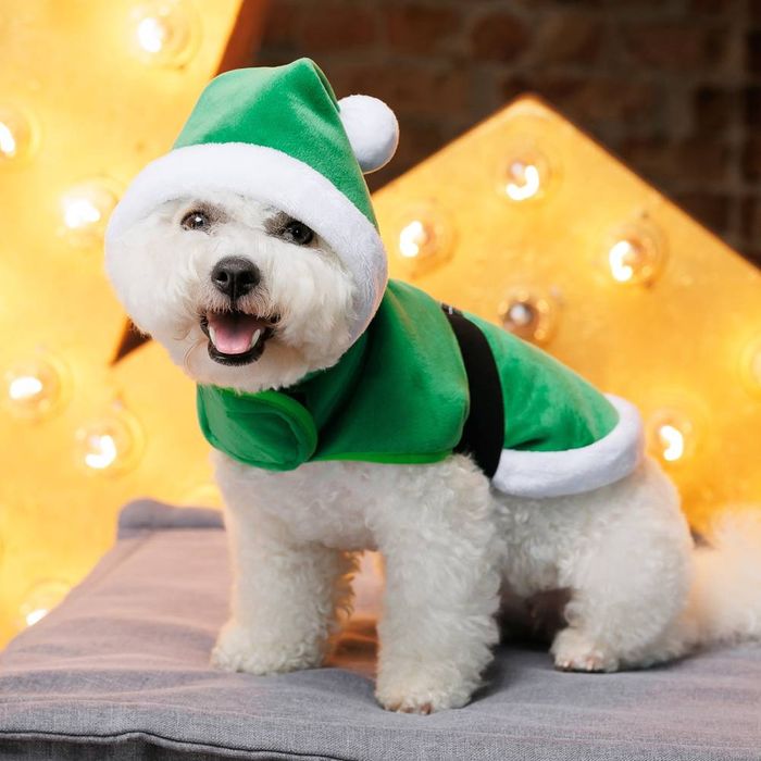 Попона для собак Pet Fashion Santa S - masterzoo.ua