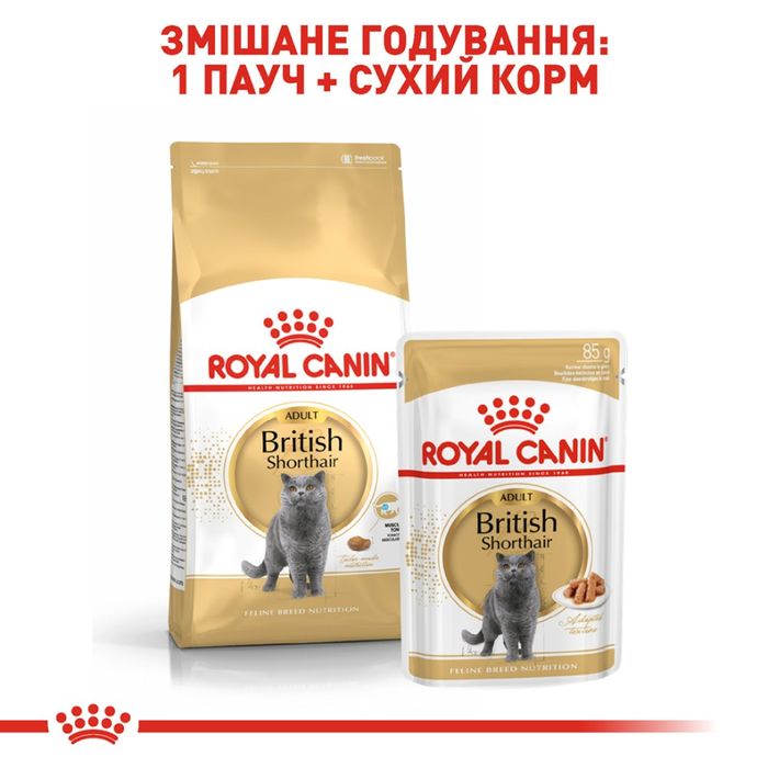 Сухий корм для котів породи британська короткошерста Royal Canin British Shorthair Adult 4 кг + Catsan 10 л - домашня птиця - masterzoo.ua