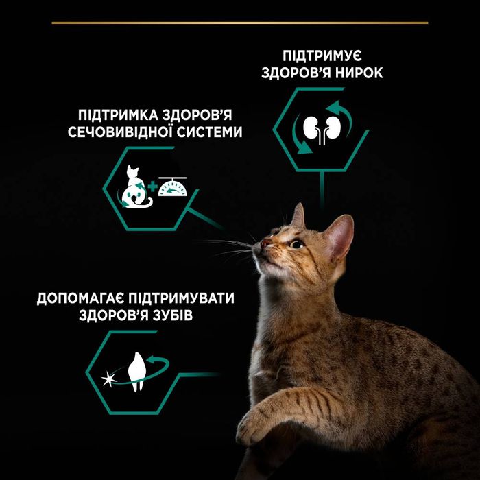 Сухий корм для котів Pro Plan Sterilised Adult 1+ Renal Plus 14 кг - лосось - masterzoo.ua