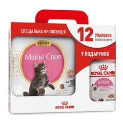Акційний набір Royal Canin Kitten Maine Coon 4 кг + Royal Canin Kitten Maine Coon Loaf 12 шт х 85 г (домашній птах) - masterzoo.ua