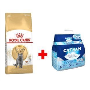 Сухой корм для кошек Royal Canin British Shorthair 4 кг + Минеральный наполнитель Catsan Гигиена Плюс 5 л &ndash; без аромата - masterzoo.ua