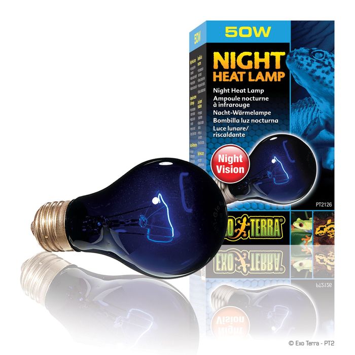 Лампа розжарювання Exo Terra «Night Heat Lamp» що імітує ефект місячного світла 50 W, E27 (для обігріву) - masterzoo.ua