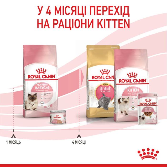 Сухий корм для кошенят Royal Canin Mother & Babycat 2 кг - домашня птиця + подарунок тунель-іграшка - masterzoo.ua