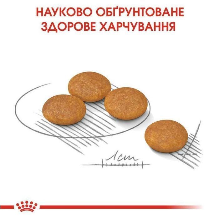 Сухой корм для собак Royal Canin Mini Dermacomfort 3 кг - masterzoo.ua