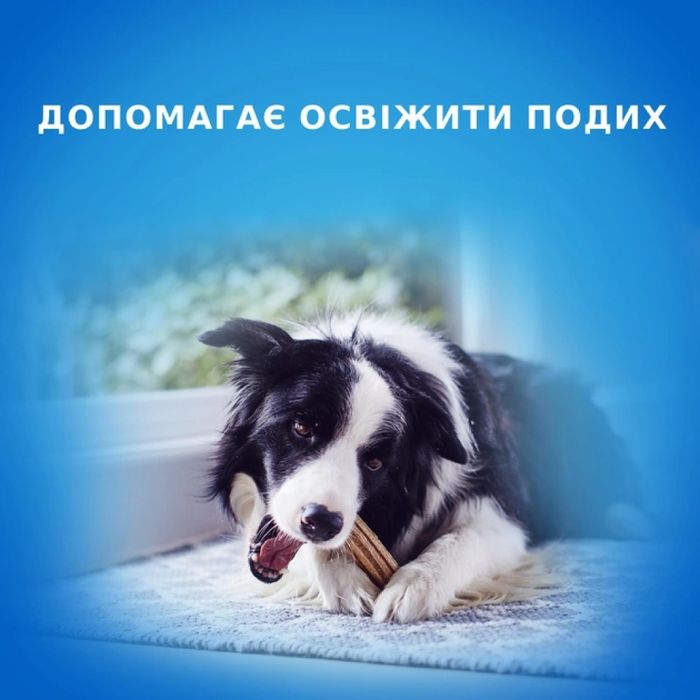 Лакомства для собак Pro Plan DentaLife Medium 115 г - masterzoo.ua