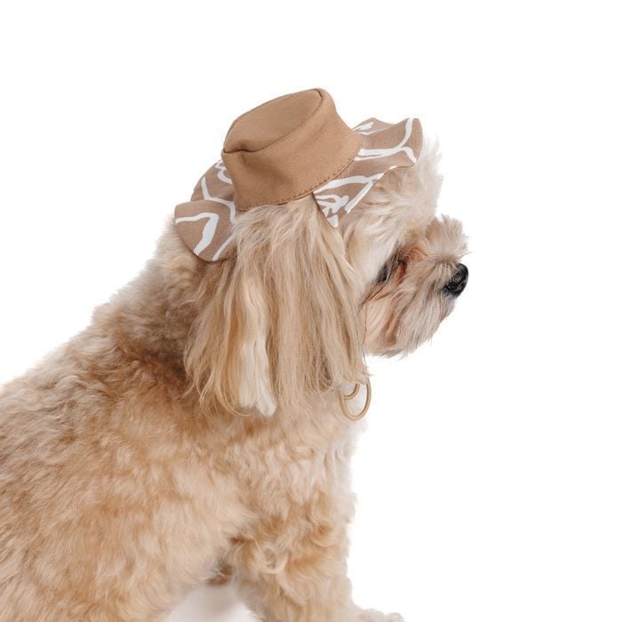 Панама Pet Fashion Print S - бежевий - masterzoo.ua
