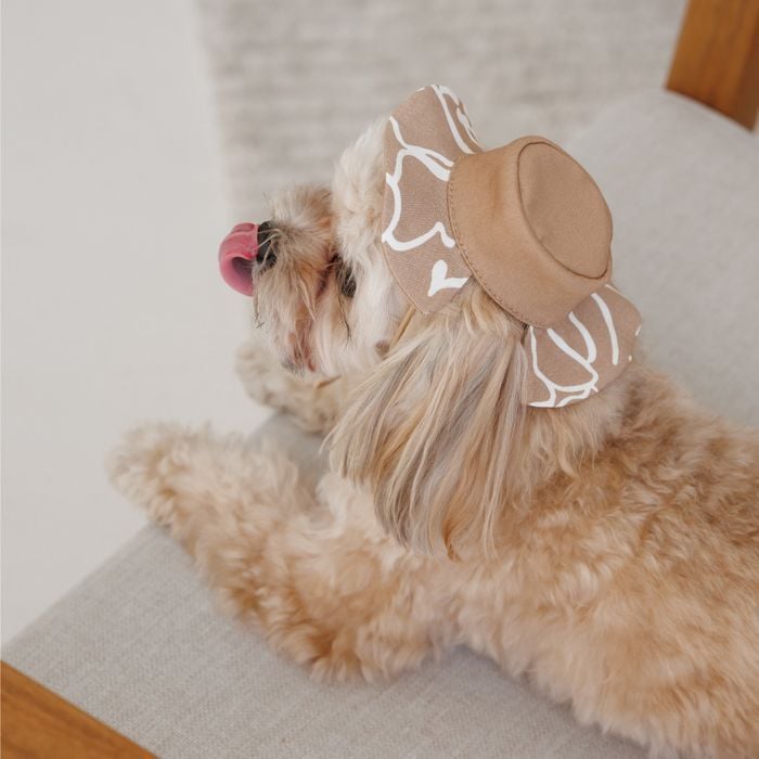 Панама Pet Fashion Print S - бежевий - masterzoo.ua