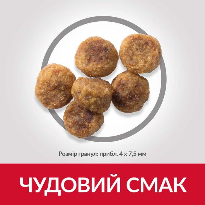 Сухой корм для собак Hill’s Science Plan Adult Small&Mini 6 кг - курица - masterzoo.ua