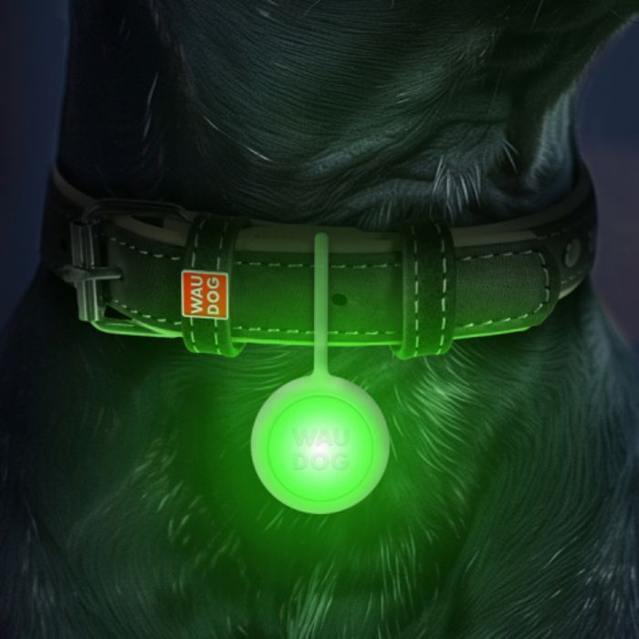 Waudog Led фонарик для кошек 37 мм - masterzoo.ua