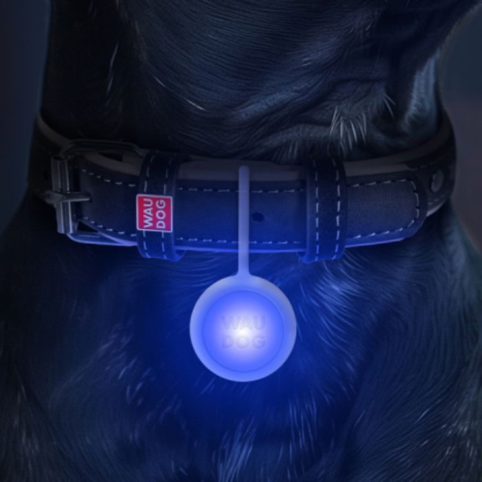 Waudog Led фонарик для кошек 37 мм - masterzoo.ua