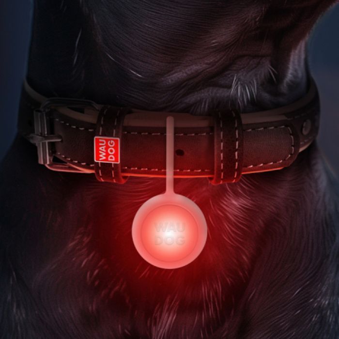 Waudog Led фонарик для кошек 37 мм - masterzoo.ua