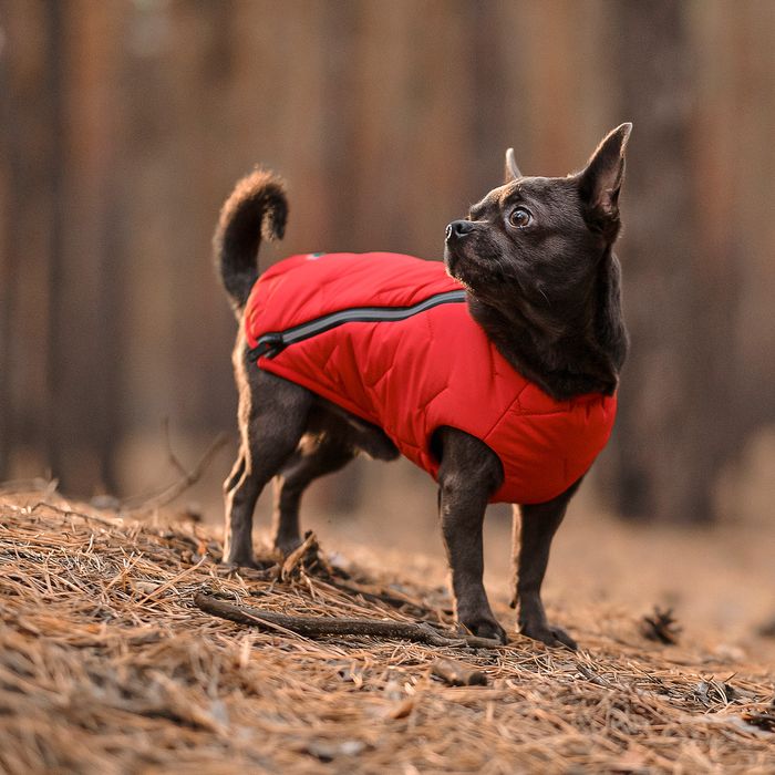 Жилетка для собак Pet Fashion E.Vest XS (красный) - masterzoo.ua