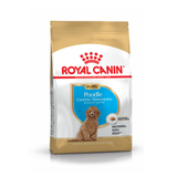 Cухий корм для цуценят Royal Canin Poodle Puppy 500 г - masterzoo.ua