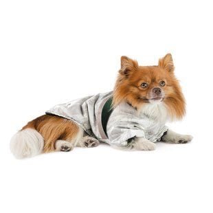 Pet Fashion Bony куртка для собак ХS - masterzoo.ua
