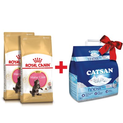 Сухий корм для кошенят породи мейн-кун Royal Canin Kitten Maine Coon | 4 кг + Catsan 10 л (домашня птиця) - masterzoo.ua