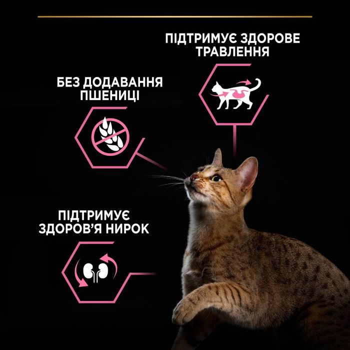 Сухой корм для кошек Pro Plan Adult 1+ Delicate Digestion 14 кг - индейка - masterzoo.ua