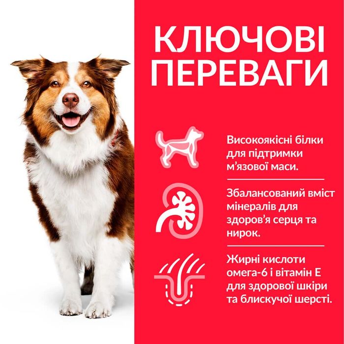 Сухий корм для собак Hill’s Science Plan Mature Adult 7+ Medium Breed 14 кг - курка - masterzoo.ua