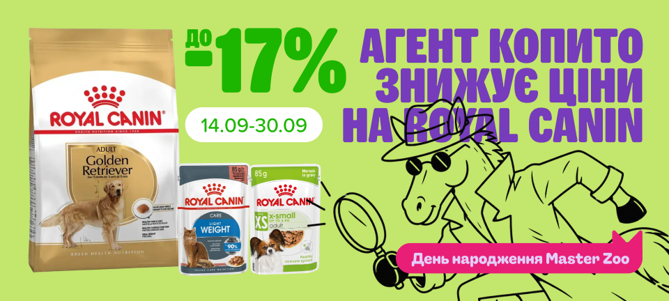 1. Десктоп Роял Платный