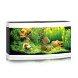 Акваріумний набір Juwel &laquo;Vision 260 LED&raquo; білий, овальний (260 л) - masterzoo.ua