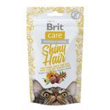 Лакомство для кошек Brit Care Shiny Hair Snack 50 г - календула, масло лосося, облепиха - masterzoo.ua