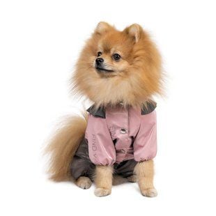 Pet Fashion Ariel дощовик для собак ХS - masterzoo.ua