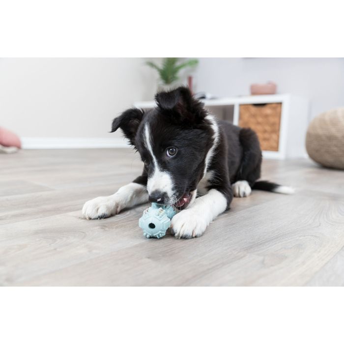Игрушка для собак Trixie Гантель шипованная 9 см (резина, цвета в ассортименте) - masterzoo.ua