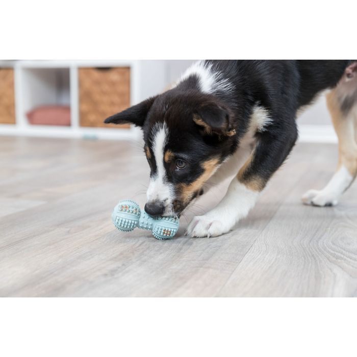Іграшка для собак Trixie Гантель шипована 9 см (гума, кольори в асортименті) - masterzoo.ua