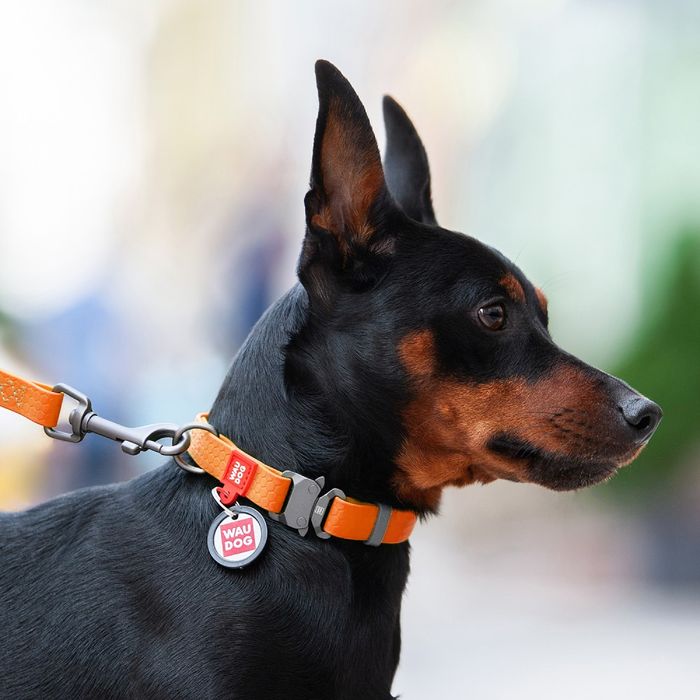 Нашийник для собак COLLAR Світловідбиваючий L - помаранчевий - masterzoo.ua