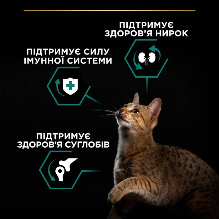 Сухий корм для котів Pro Plan Adult 1+ Renal Plus 14 кг - курка - masterzoo.ua