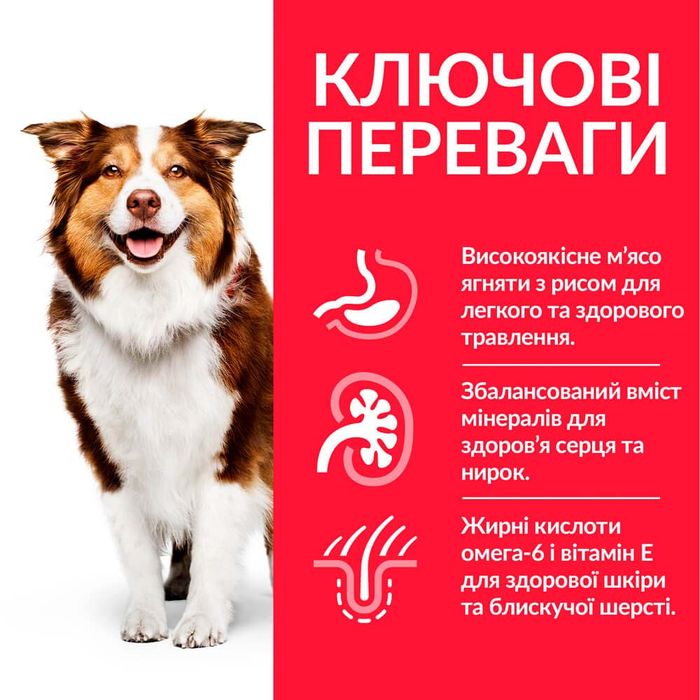 Сухой корм для собак Hill’s Science Plan Mature Adult 7+ Medium Breed 14 кг - ягненок и рис - masterzoo.ua