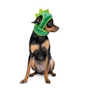 Шапка для собак Pet Fashion Dragon S - masterzoo.ua