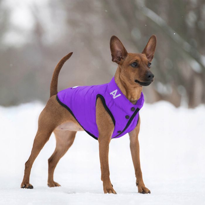 Collar AiryVest ONE куртка для собак XS-22 - masterzoo.ua