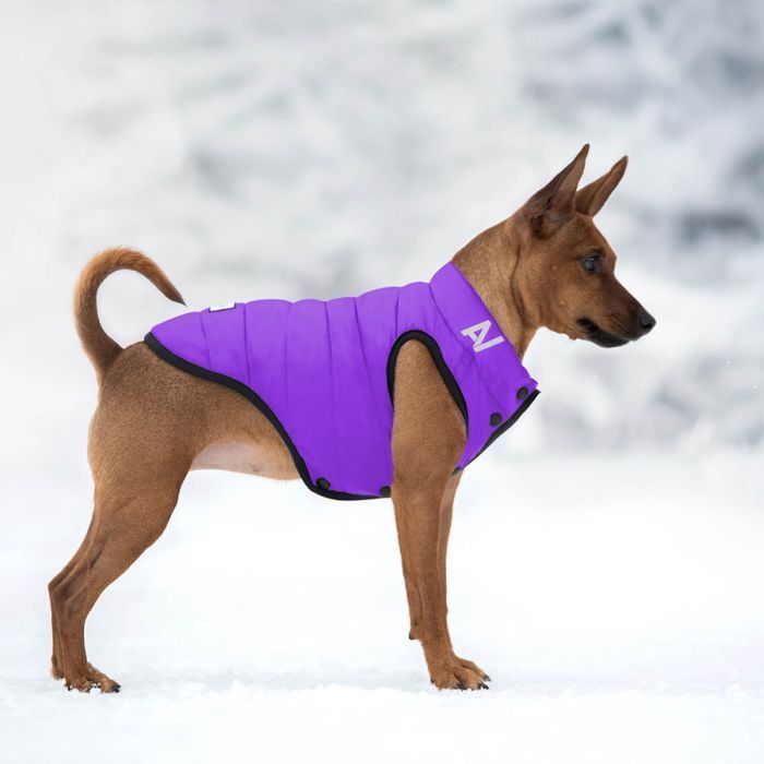 Collar AiryVest ONE куртка для собак XS-22 - masterzoo.ua