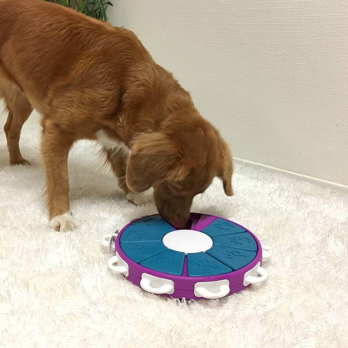 Игрушка интерактивная для собак Нина Nina Ottosson Dog Twister ⌀ = 26 см, h = 4,5 см - masterzoo.ua
