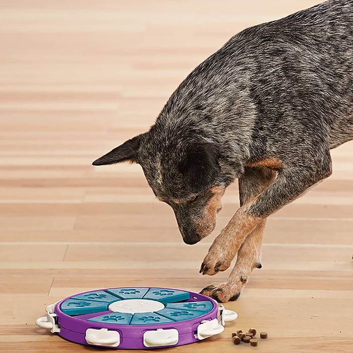 Іграшка інтерактивна для собак Ніна Nina Ottosson Dog Twister ⌀ = 26 см, h = 4,5 см - masterzoo.ua
