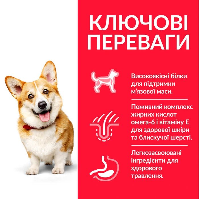 Сухий корм для собак Hill’s Science Plan Adult Small&Mini 1,5 кг - ягня та рис - masterzoo.ua