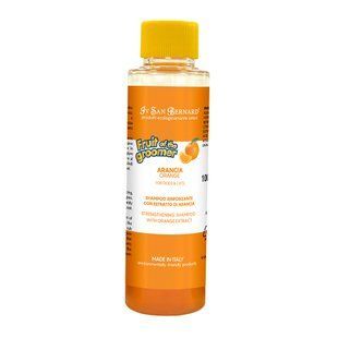 Шампунь для собак Iv San Bernard Fruit Of The Groomer 100 мл - экстракт апельсина - masterzoo.ua