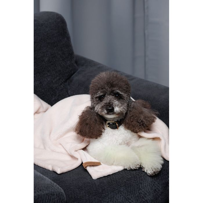 Pet Fashion Bliss 1 плед для собак 86х67,5 см - рожевий - masterzoo.ua