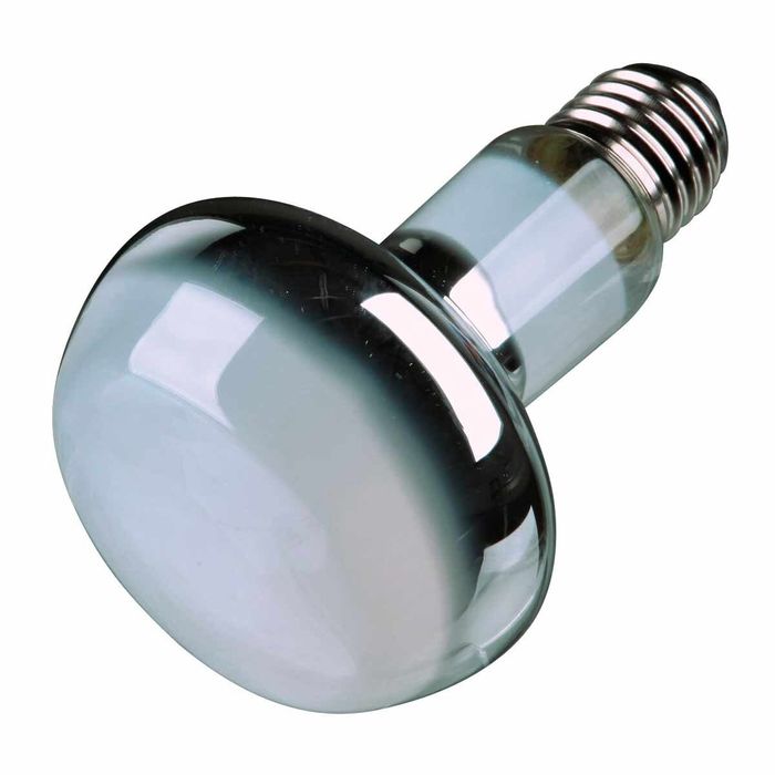 Рефлекторная лампа накаливания Trixie 50 W, E27 (для обогрева) - masterzoo.ua