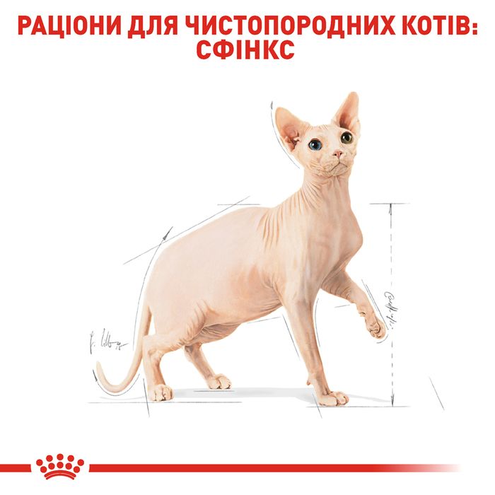 Сухой корм для взрослых кошек породы сфинкс Royal Canin Sphynx Adult 2 кг (домашняя птица) - masterzoo.ua