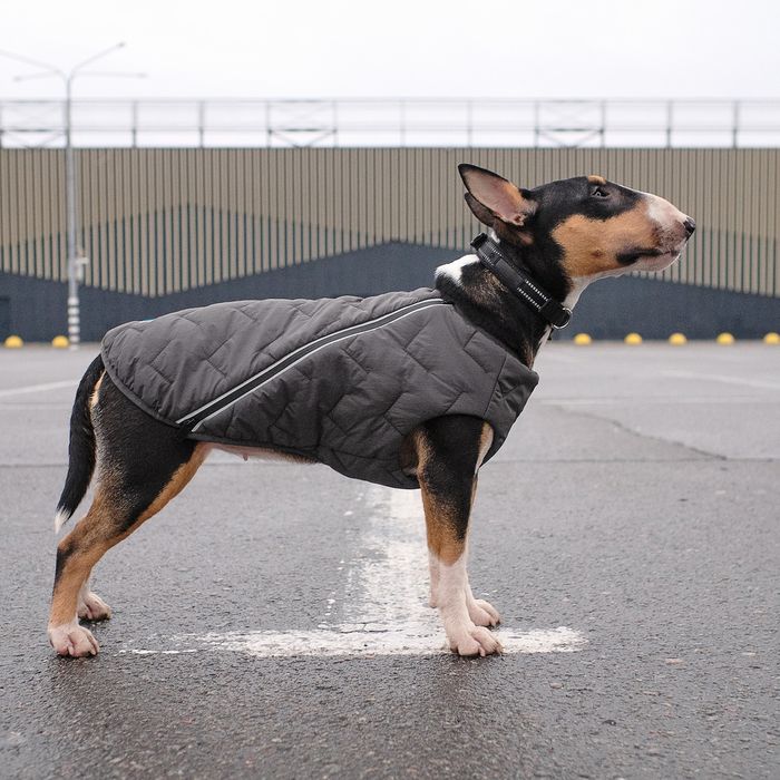 Жилетка для собак Pet Fashion E.Vest М (серый) - masterzoo.ua