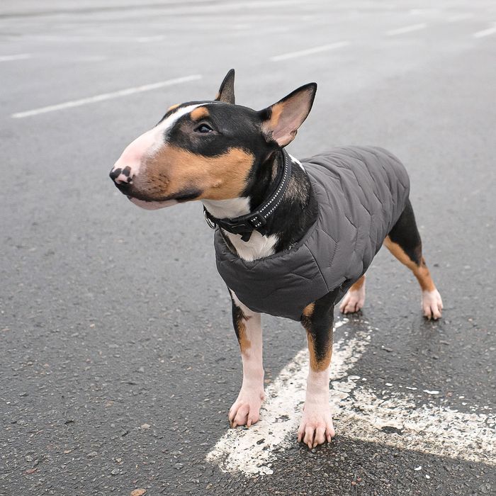 Жилетка для собак Pet Fashion E.Vest М (серый) - masterzoo.ua