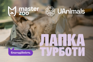 MasterZoo и UAnimals начали седьмую волну благотворительной акции &laquo;Лапка Заботы&raquo;, чтобы собрать средства на ветеринарные миссии в прифронтовых регионах